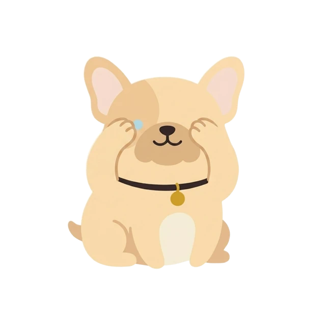 Truf the dog watching the inbox